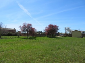 Jardín